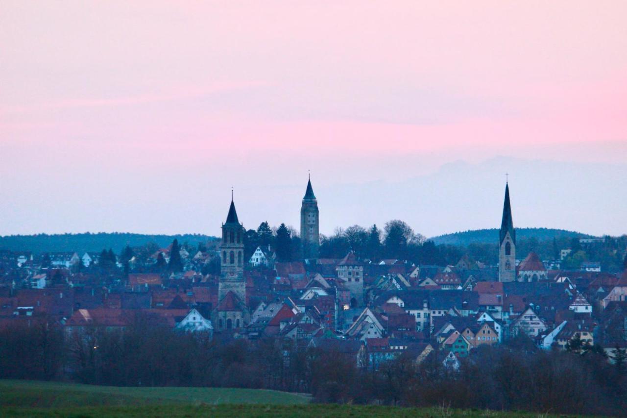 Vier Sind Hier Apartments Rottweil Kültér fotó