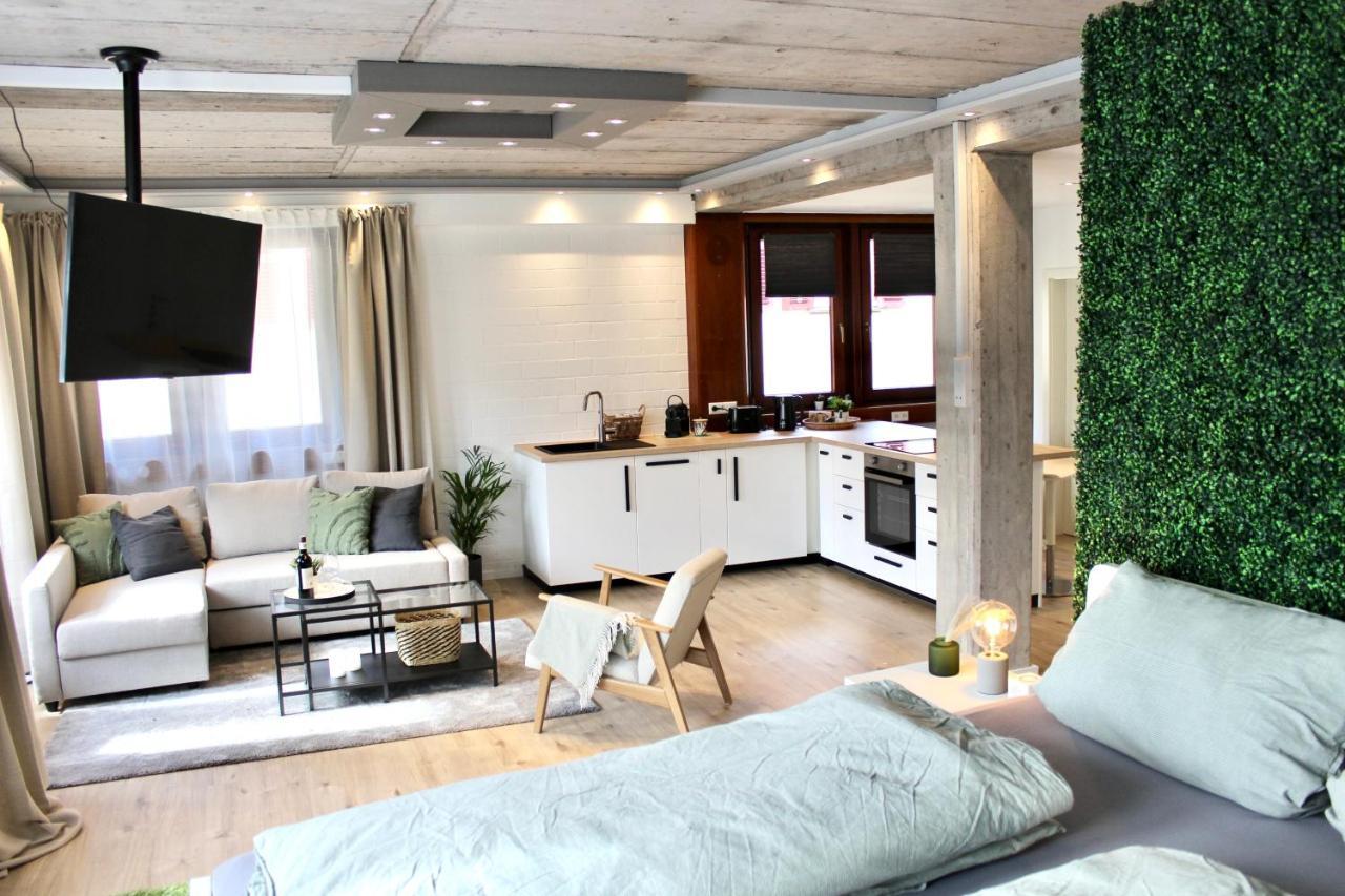 Vier Sind Hier Apartments Rottweil Kültér fotó
